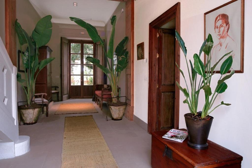 Casa Vina De Alcantara Jerez de la Frontera Exterior foto